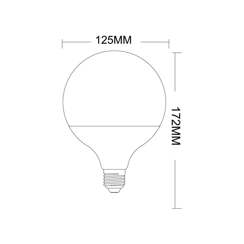 Lampadina Led Globo 22Watt G120