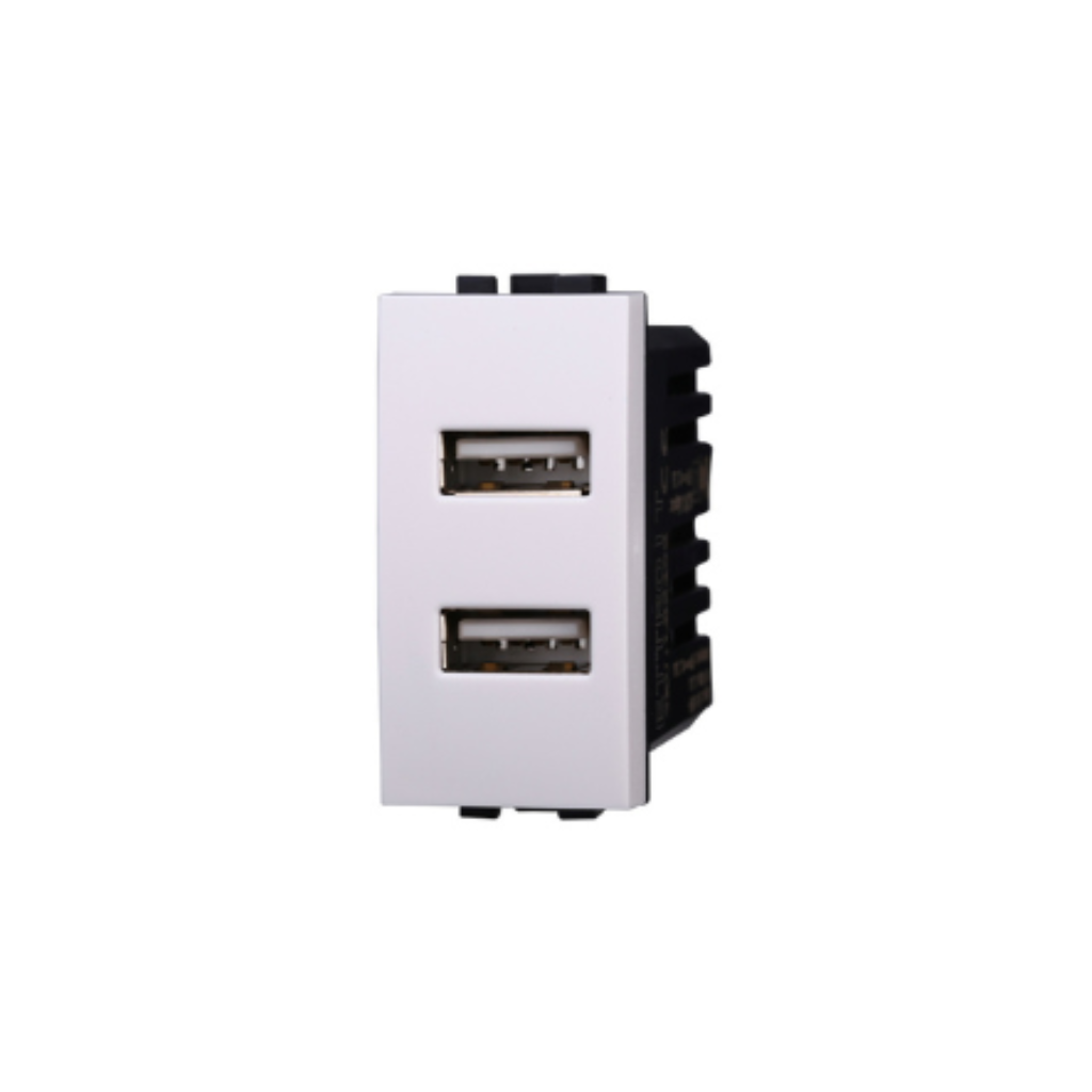 Presa USB 2.1A 2 Posti