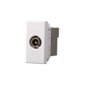 Connettore TV Maschio