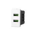 Presa USB 2 posti 2.1 AMH