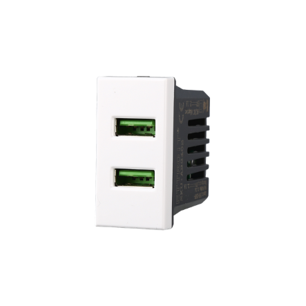 Presa USB 2 posti 2.1 AMH