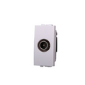 Connettore TV Maschio Passante