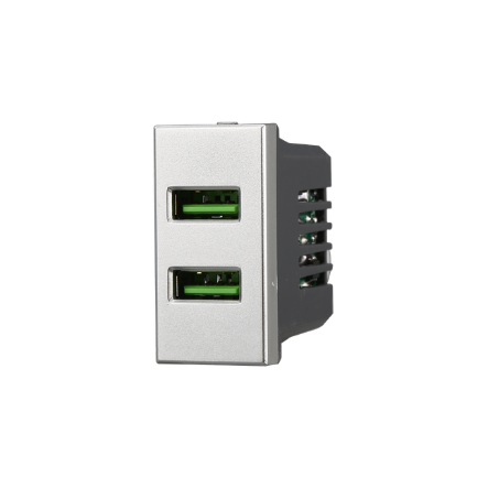 Presa USB 2 posti 2.1 AMH