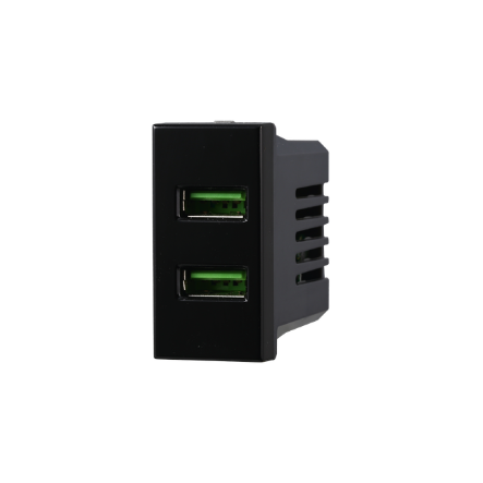 Presa USB 2 posti 2.1 AMH