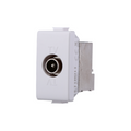 Connettore TV maschio